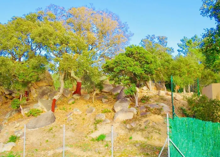 Luxury Investingspain With Sea Views, Pool And Jacuzzi Villa Lloret de Mar