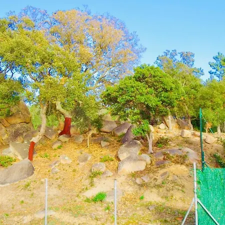 Luxury Investingspain With Sea Views, Pool And Jacuzzi Villa Lloret de Mar